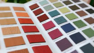 Peldkostīmu parauga karte